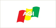 Air Guinee International Logo