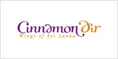 Cinnamon Air