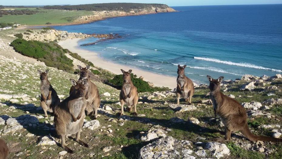 Kangaroo Island