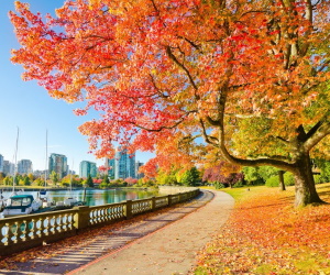 Vancouver's Stanley Park
