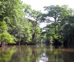 Bottle Creek Indian Mounds