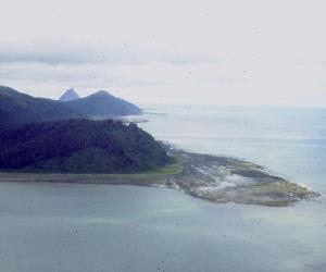 Bering Expedition Landing Site