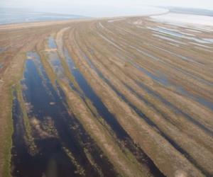 Cape Krusenstern National Monument
