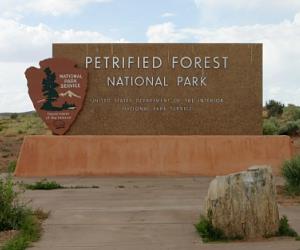 Petrified Forest National Park