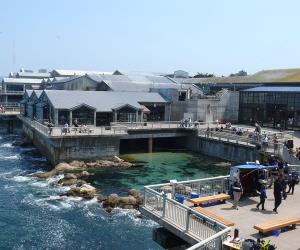 Monterey Bay Aquarium