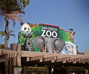 San Diego Zoo