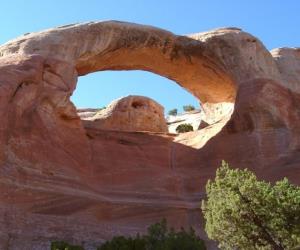 Cedar Tree Arch (Rainbow Arch)