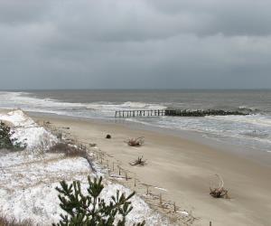 Cape Henlopen State Park