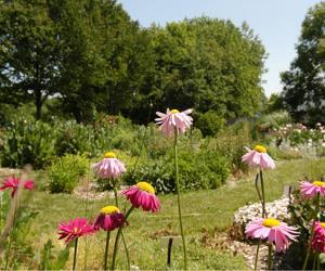 University of Delaware Botanic Gardens