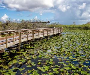 Everglades National Park