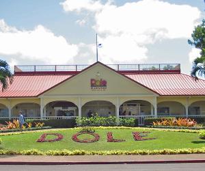 Dole Plantation