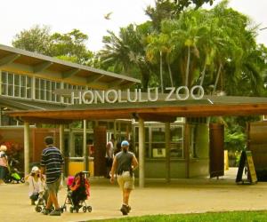Honolulu Zoo