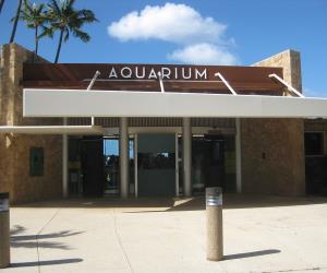 Waikiki Aquarium