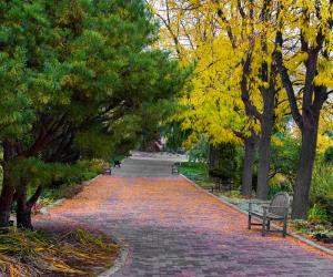 Idaho Botanical Garden
