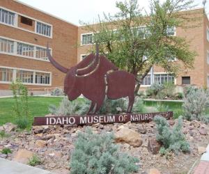 Idaho Museum of Natural History