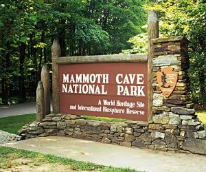 Mammoth Cave National Park