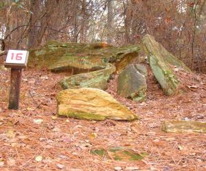 Mississippi Petrified Forest