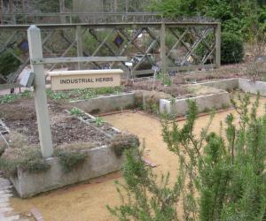 North Carolina Botanical Garden