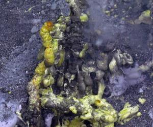 Daikoku Sulfur Cauldron