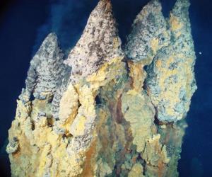 East Diamante Volcano Black Forest