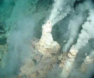 NW Eifuku Champagne Vent