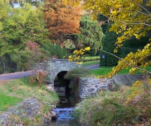 Morris Arboretum