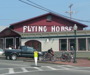 The Flying Horse Carousel