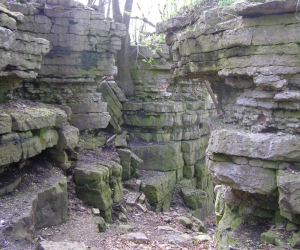 High Cliff State Park